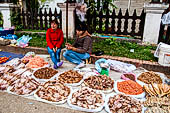 Luang Prabang, Laos - The day market.